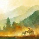 서문복지재단 | [시편 119편 136절 해설] “그들이 주의 법을 지키지 아니하므로 내 눈물이 시냇물 같이 흐르나이다”