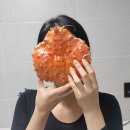 도연수산 네이버블로그