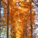 자연생태박물관 방문자센터 화장실 | 경남 진주 드라이브 반성수목원 단풍명소 경상남도 진주 수목원