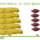 전하로 네이버블로그