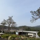 246 | [강릉] 나들이 하기 좋은 야외카페!! 대형정원이 있는 "왕산어흘리246" 내돈내산 간단후기