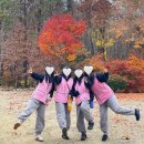 냥이댕이 | 서울 근교에서 만나는 평온, 고양 흥국사 템플스테이 체험형 예약 가격 준비물 후기
