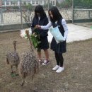 상촌중학교 이미지