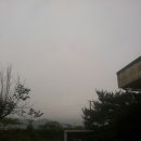 영인원예 이미지