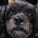 종한 | 12.8 - 12.14 술 좀 그만먹어잉~!