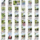 2025제주감귤국제마라톤대회 개인독사진 썸네일.. 이미지