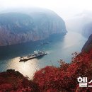 센츄리헬스 이미지