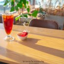 별아라카페 이미지