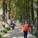 우로지 자연숲 황토길 이미지