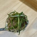 모래뜰 펜션 | 완도 명사십리 맛집 모래뜰 해상치유밥상 완도치유페스타