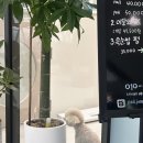 리앤도그 이미지