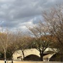 장자호수공원(반려견놀이터) | 장자호수공원 반려견 놀이터 / 구리 애견동반 / 구리 가볼만한 곳 / 구리 애견운동장