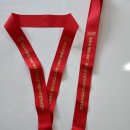 용인대 국가대표 태권도스쿨 이미지