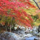 테마5.1 Daum카페