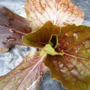 무지개횟집 이미지