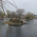 영산 연지 이미지