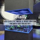 로얄수족관 | 강남 수서역 근처 가볼만한 곳 세곡동 수족관 카페 맛집 카페 쉘리 &amp; 와인 내돈내산 후기