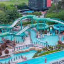 스플라스리솜 이미지