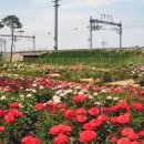 곡성-162 이미지