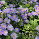 들꽃의 향기처럼 - 아주콘서트콰이어 &솔로 김해인,전동환 (이상목 시,한성훈 곡) 이미지