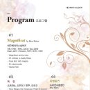 레이디스싱어즈 연주회 Daum카페