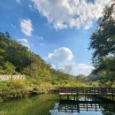 송정 박상진호수공원 미로물정원 이미지