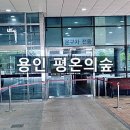 현장묘개발