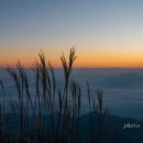 금오산 약사암 재래식 화장실 이미지