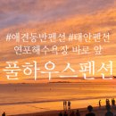 애견풀하우스 이미지