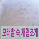 하동송림 하동포구 섬진강 재첩국 섬진강 재첩잡이 체험 아프니까 회복하기2