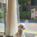 뭉투샵 이미지