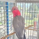 장성당구장 | 광주글램핑, 별빛과 바람 따라 떠난 불태산 글램핑