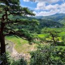 금강송계곡민박 이미지