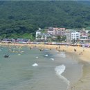 옥수새시장 이미지