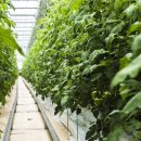 뜬봉샘농장 이미지