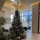 Casa Seorak(설악의 향기) | [국내]강원도 속초여행 속초 호텔 반얀트리 홈마리나 내돈내산 후기 (온수풀 수영장 조식시간 주차 헬스장)