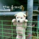 한국태권도장 이미지