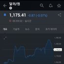 서프라이즈시티 이미지