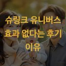 슈링크 유니버스 효과 없다는 후기 이유