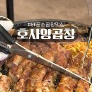 양만소 | 배곧맛집 호사양곱창 솔직후기 ! 소곱창의 진수를 만나다