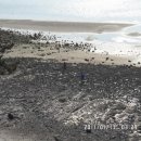 시아도 펜션 이미지