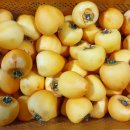 칠선농장 이미지