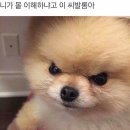 나도 - 영광군 천년로 4-1 | 나도