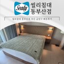 스페셜호텔 | 금정구침대 씰리 리베르, 템바 호텔형 스페셜 프레임 설치 후기