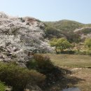 호암미술관 이미지