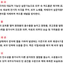 퀸플라즈마