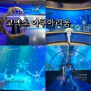 서울 아이와 실내 가볼만한 곳 코엑스 아쿠아리움 정보 및 방문 후기