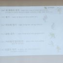 치매예방관리사 양성 과정 이미지