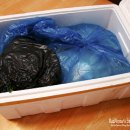 서른낙지