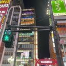럭키장 | [일본여행] 힘들어? 어~일단 킵고잉해~ -4